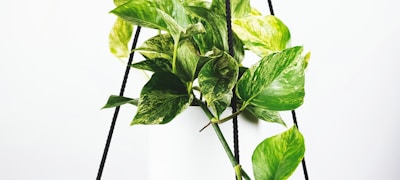 英超联赛直播预告 - 曼城对阵利物浦焦点战